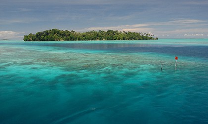 Coral Expeditions Ghizo Island