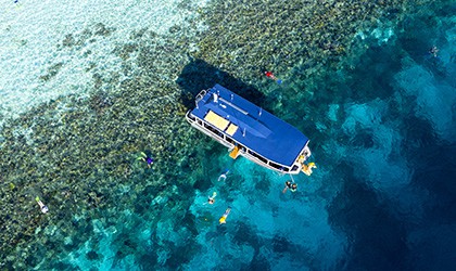 Snorkelling from the Xplorer tender over coral