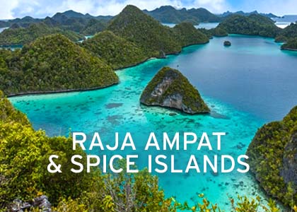 Raja Ampat & Spice Islands Coral Expeditions Normal