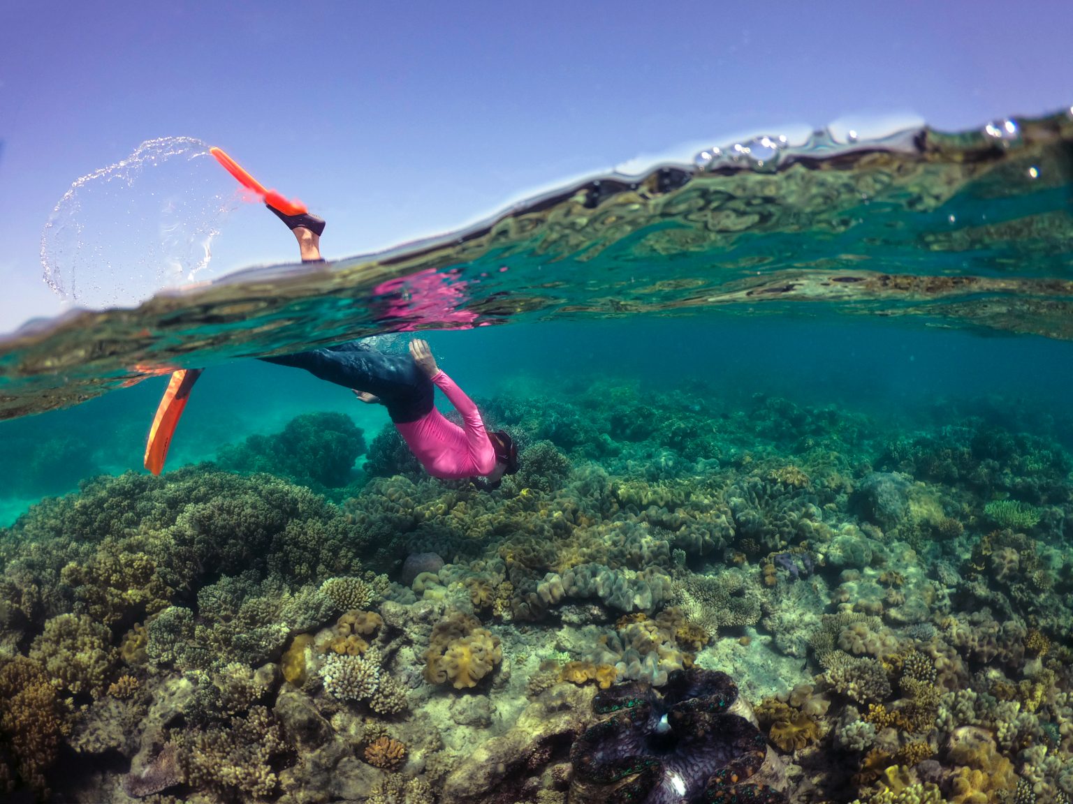 Snorkelling in Summer at Mackay Reef. Image Tourism Tropical North Queensland.