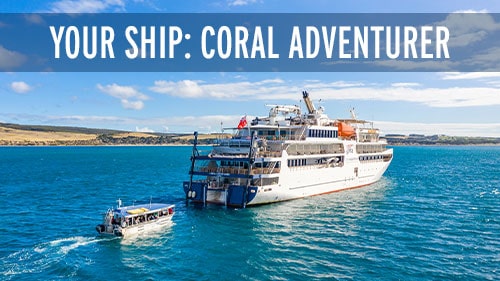 Your-Ship-Coral-Adventurer