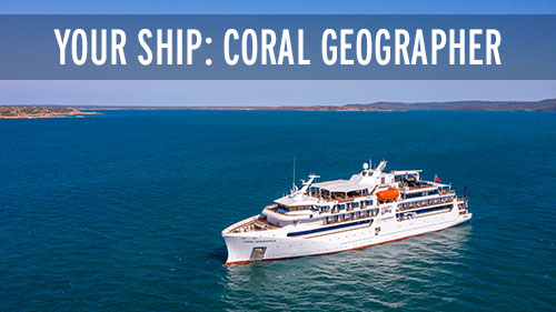 Your-Ship-Coral-Geographer